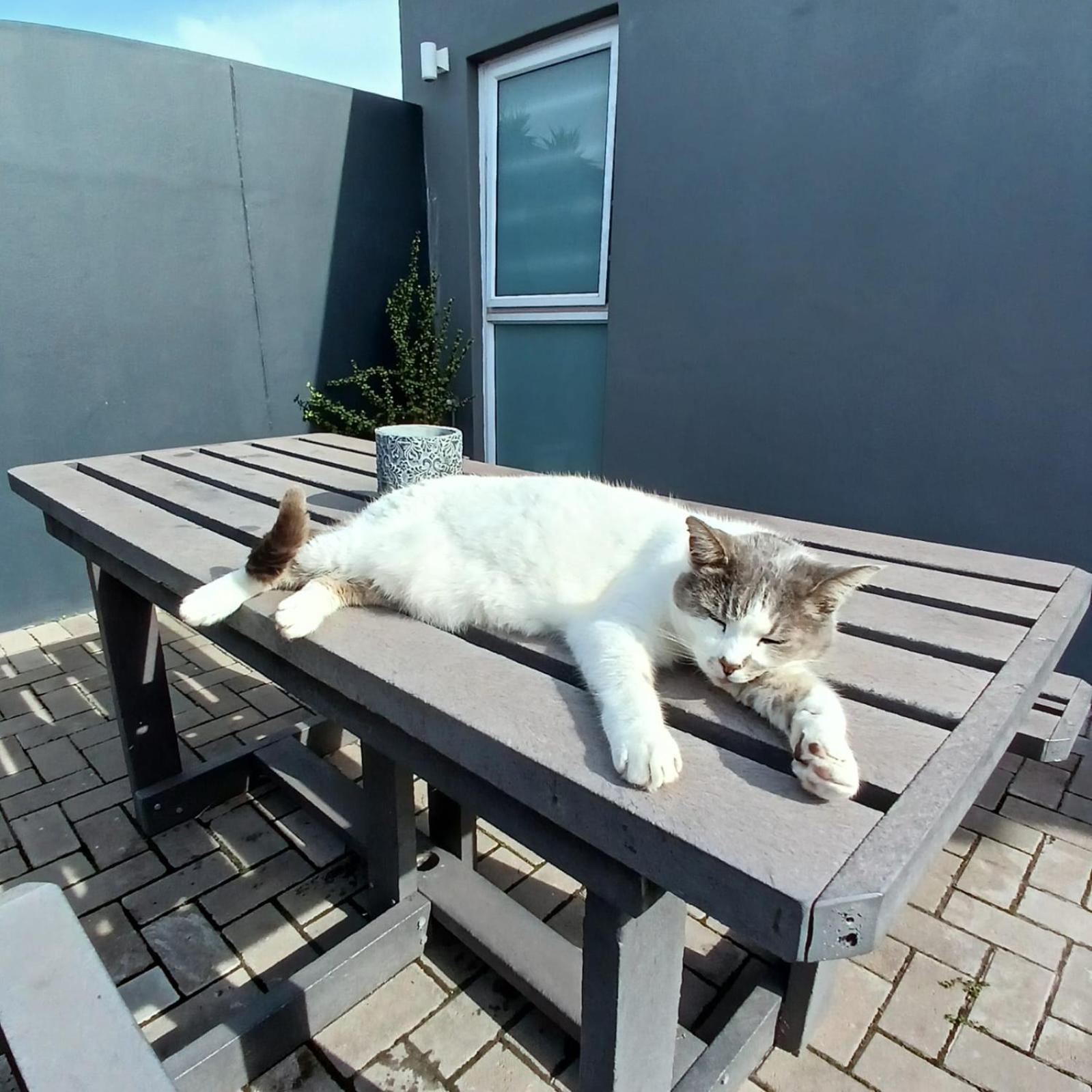 Wanderlust Private Studio Apartment Langebaan Exteriér fotografie